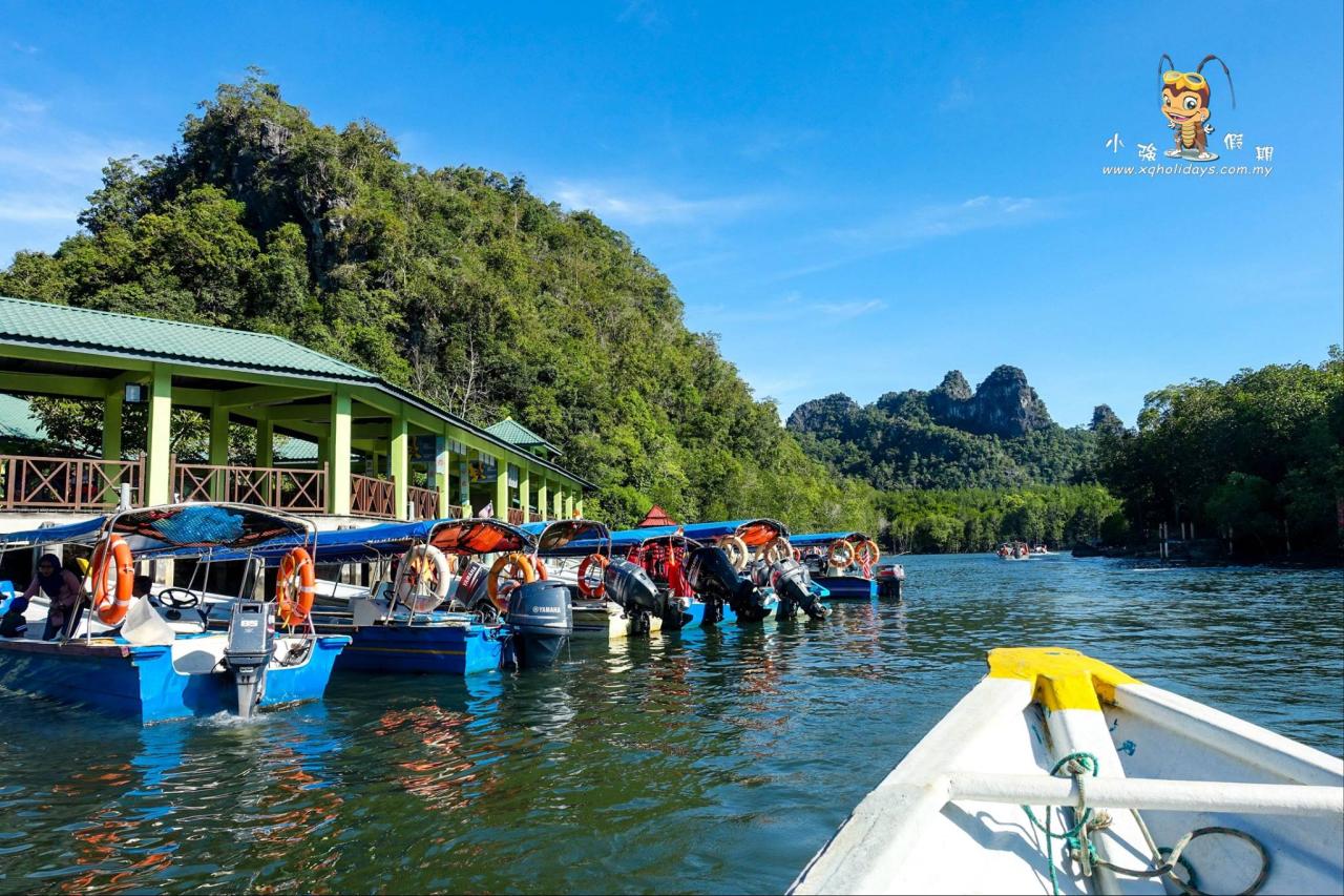 Jelajahi Keindahan Mangrove Langkawi yang Memesona